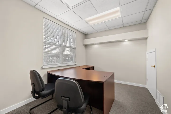 Window with horizontal blinds, drop ceiling with recessed lighting, integrated wall shelving with task lighting, and carpeted flooring