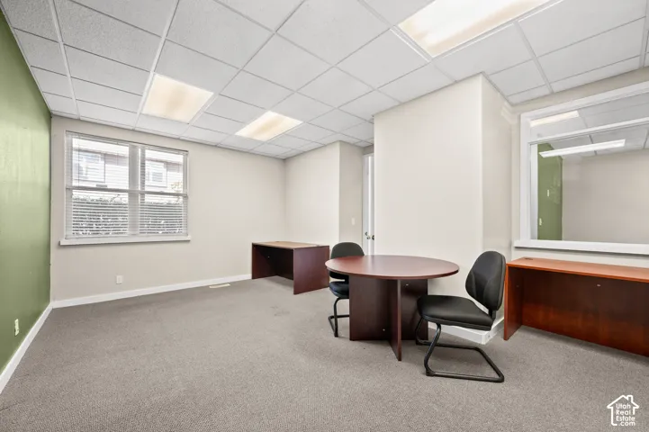 Recessed lighting, drop ceiling, and carpeted flooring