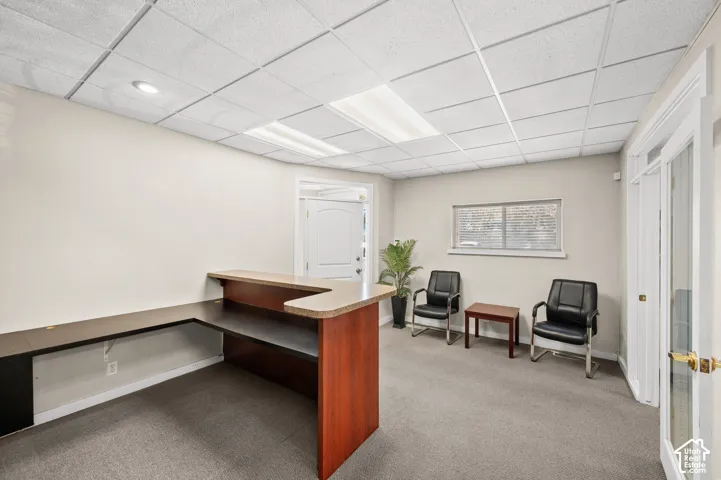 Built-in reception desk with a wood-finish base and light-toned countertop