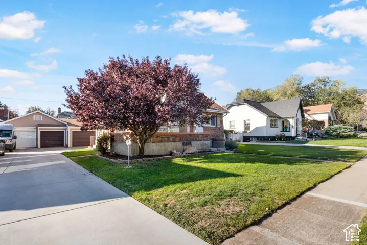 Beautiful mature trees in front yard