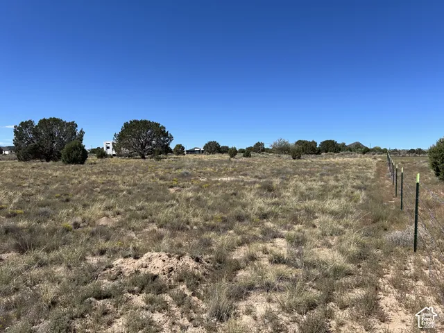 Expansive land parcel featuring natural desert flora, scattered mature trees, and a perimeter fence with metal posts