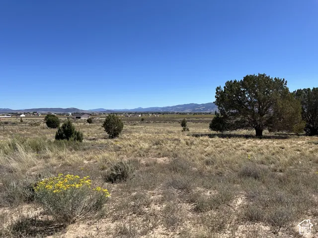 Expansive open land with natural grasses, scattered trees, and distant mountain ranges