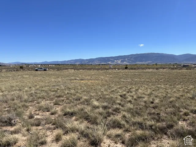 Expansive open land featuring natural grass and distant mountain ranges