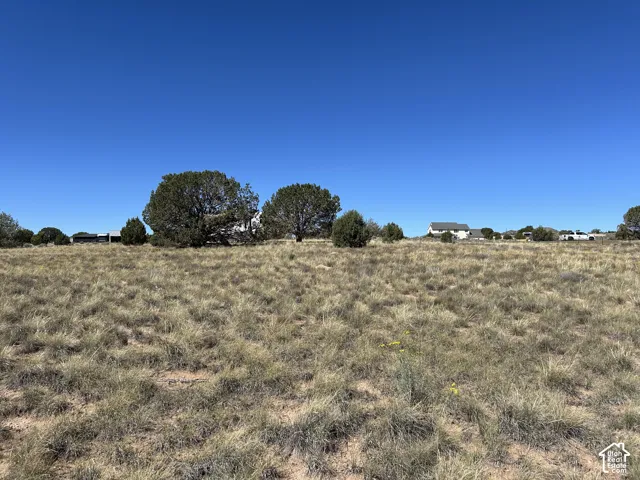 Expansive land parcel featuring natural grasses and mature trees