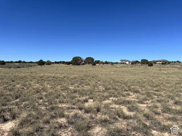Expansive open terrain featuring natural desert vegetation
