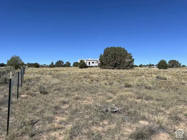 Expansive undeveloped lot featuring natural desert vegetation
