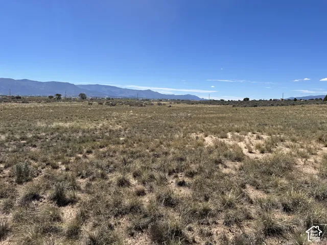 Expansive undeveloped lot with natural ground cover