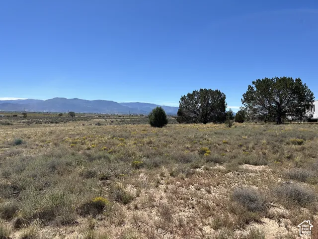 Expansive arid landscape featuring scattered shrubs, mature trees, and distant mountain ranges under a clear sky
