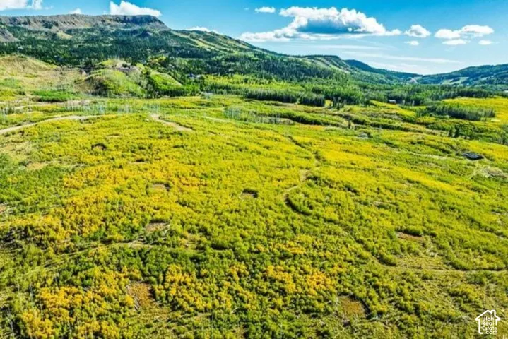 0 Unit 15, Brian Head, Utah 84719