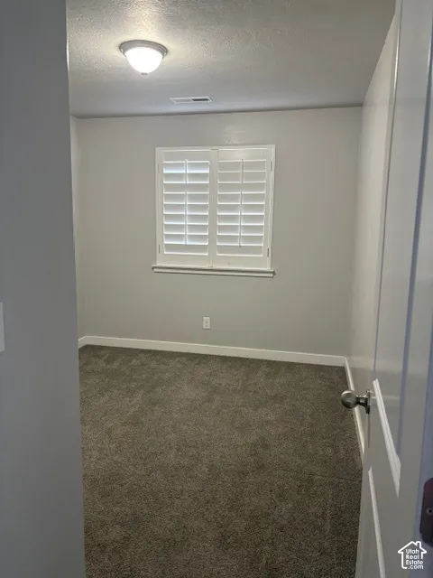 Carpeted flooring, white plantation shutters, neutral wall color, overhead flush-mount lighting, and white trim