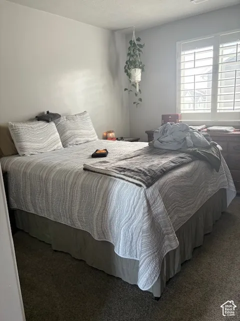 Carpeted bedroom with plantation shutters and a ceiling-mounted light fixture