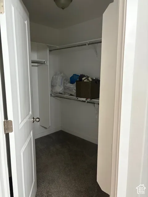 Carpeted closet with built-in shelving, hanging rods, and an overhead light fixture