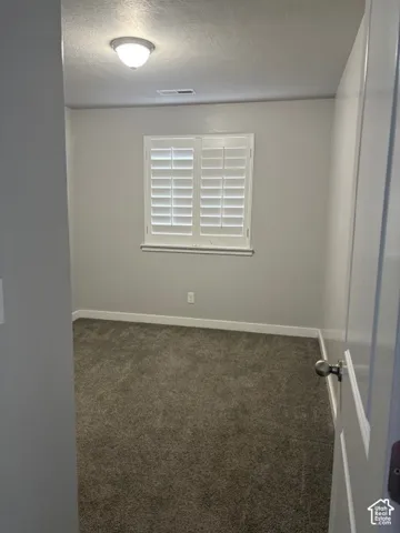 Carpeted flooring, white plantation shutters, neutral wall color, overhead flush-mount lighting, and white trim