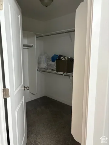 Carpeted closet with built-in shelving, hanging rods, and an overhead light fixture