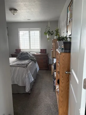 Window with white plantation shutters, flush-mount ceiling light fixture, and textured ceiling