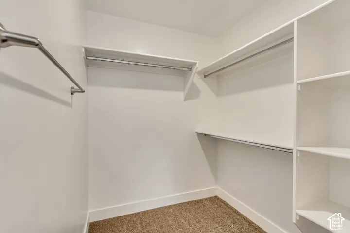 Walk-in closet featuring carpet flooring, multiple shelving units, and built-in metal hanging rods