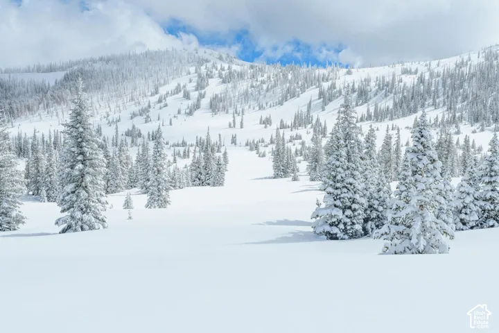 0 Unit 26, Brian Head, Utah 84719