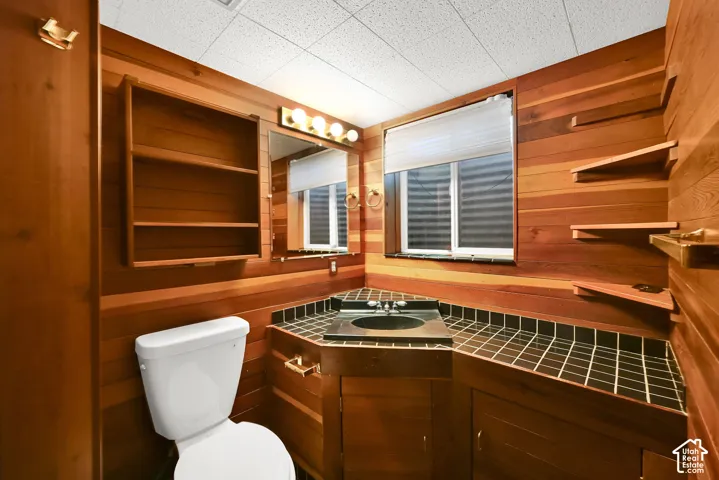 Wood-paneled bathroom featuring a built-in vanity with an integrated sink and black tile countertop