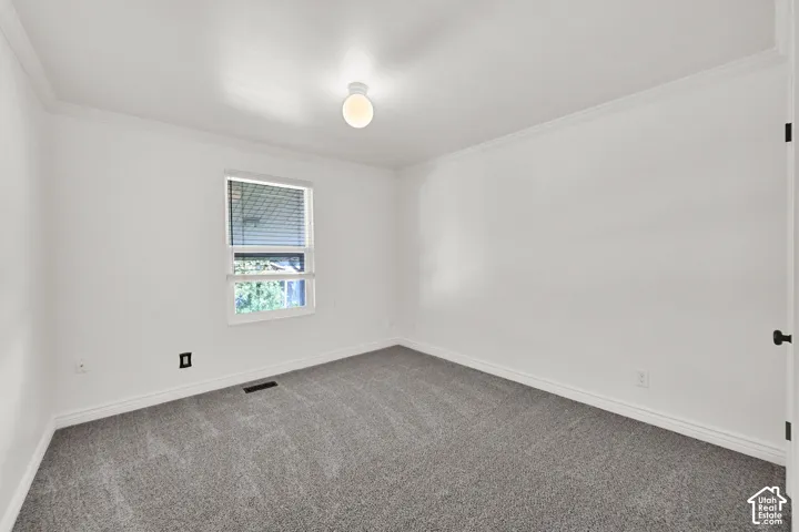 Carpeted flooring, white crown molding, white walls, single window with blinds, ceiling-mounted light fixture