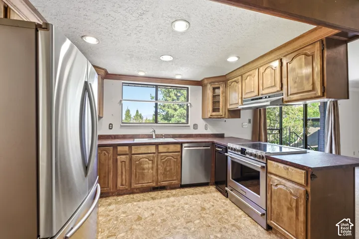 Stainless steel appliances, wood cabinetry, recessed lighting, and a composite countertop