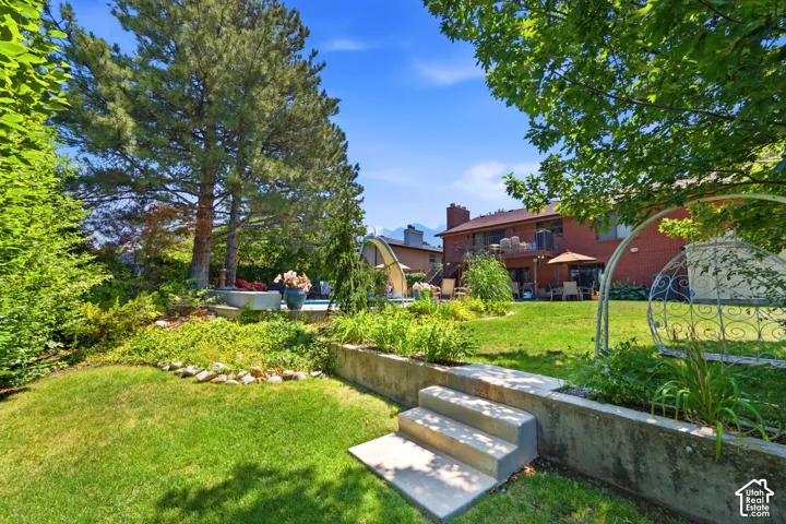 Expansive backyard with a terraced lawn, concrete steps, and established trees