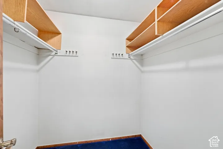 White walls, wood-finish shelving, blue carpet, and hanging rods