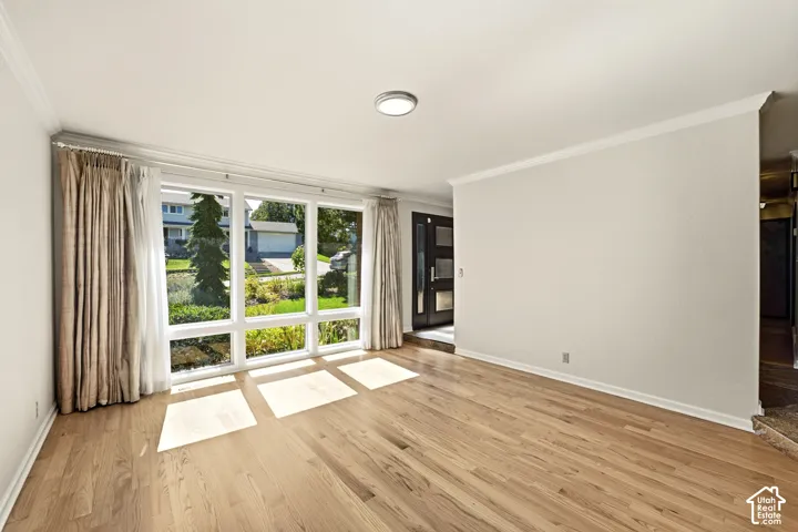 Polished wood-finish flooring, expansive multiple-panel window, contemporary ceiling-mounted light fixture, white crown molding, and a modern entryway door with translucent panels