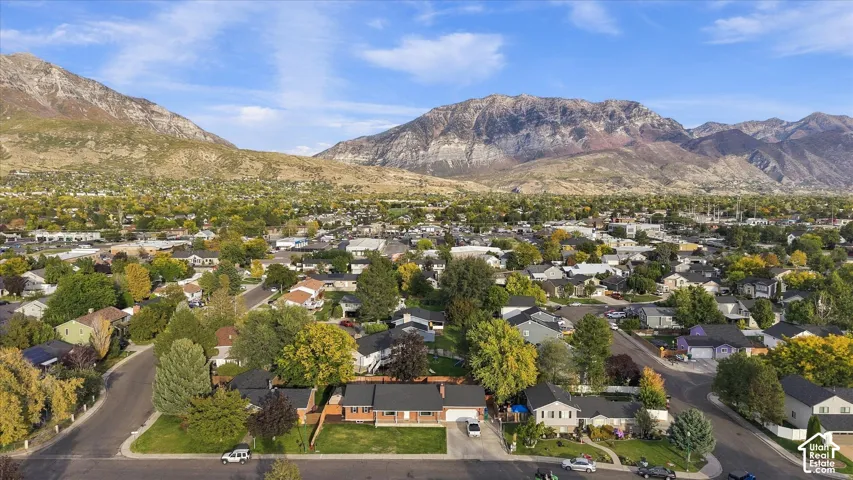 Residential neighborhood with established trees and mountain backdrop