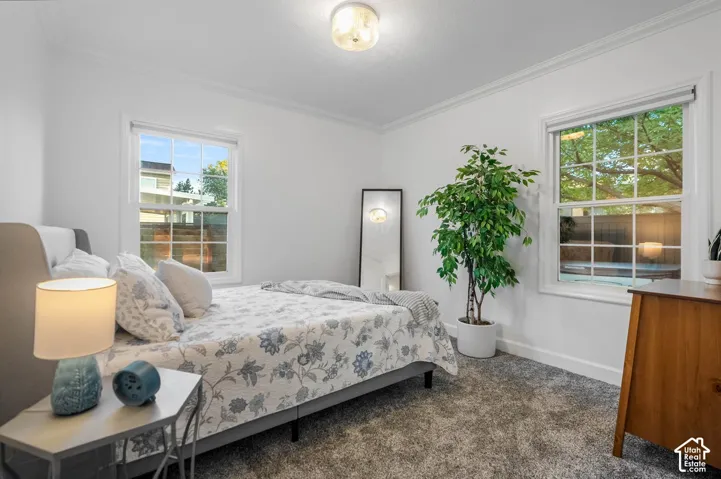 White walls with crown molding, gray textured carpeting, two multi-pane windows, and a flush mount ceiling light