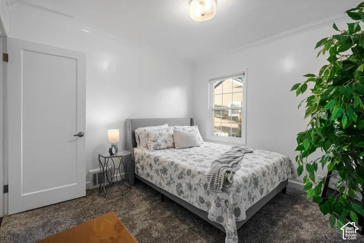 White walls, crown molding, double-pane window, flush-mount light fixture, and broadloom carpeting