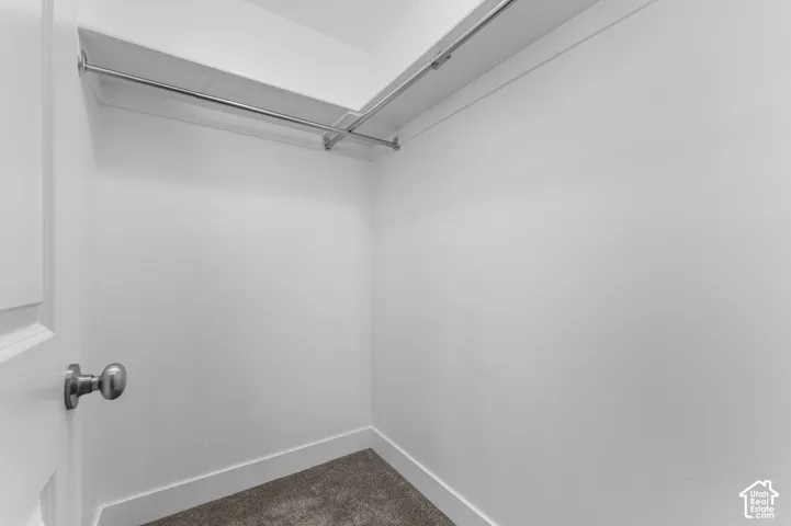 Recessed closet with integrated shelving, chrome hanging rods, and carpet flooring