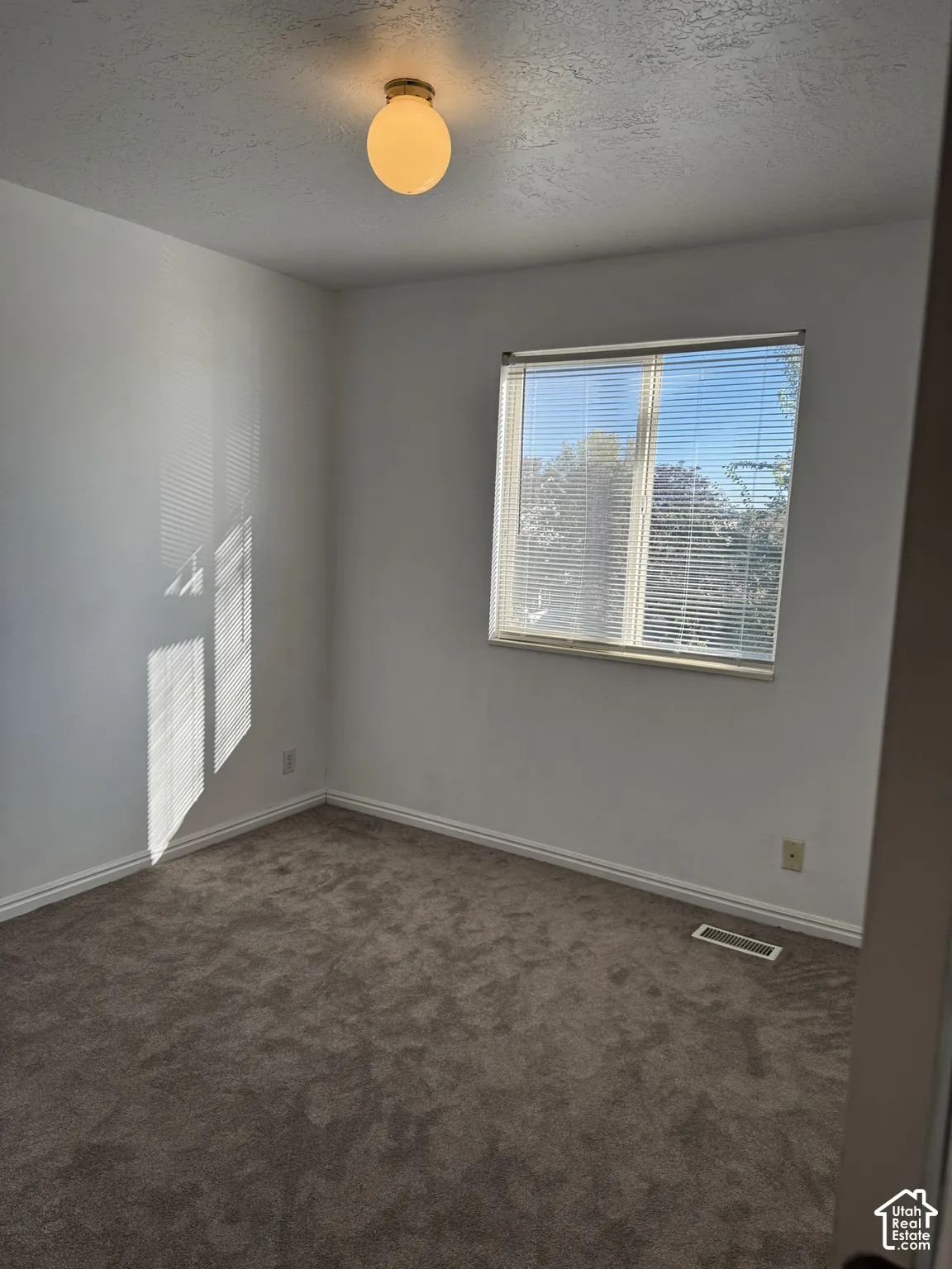 Window with horizontal blinds, overhead globe light fixture, and neutral carpeting