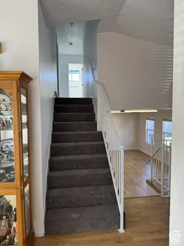 Carpeted staircase with white railings, wood-finish flooring, and natural light from multiple windows