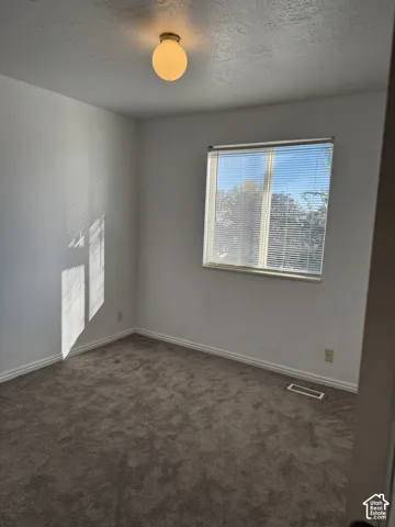Window with horizontal blinds, overhead globe light fixture, and neutral carpeting