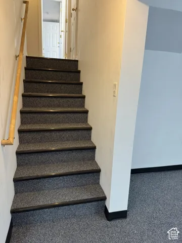 Carpeted staircase with wooden handrail