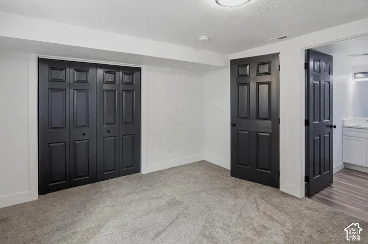 Neutral-toned carpet flooring, white walls, black paneled doors, and a ceiling-mounted light fixture