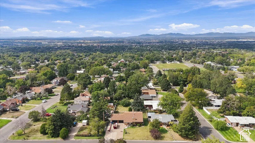 Expansive residential area with a prominent tree canopy and distant mountain range