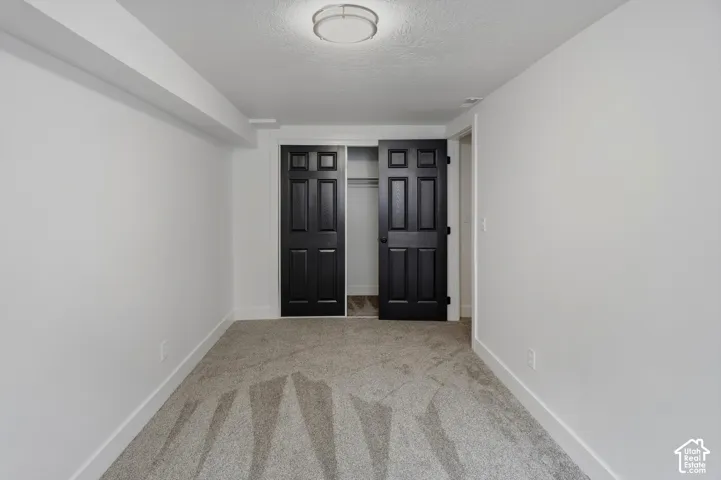 Neutral tone wall paint, carpet flooring, a flush mount ceiling light, and panel doors