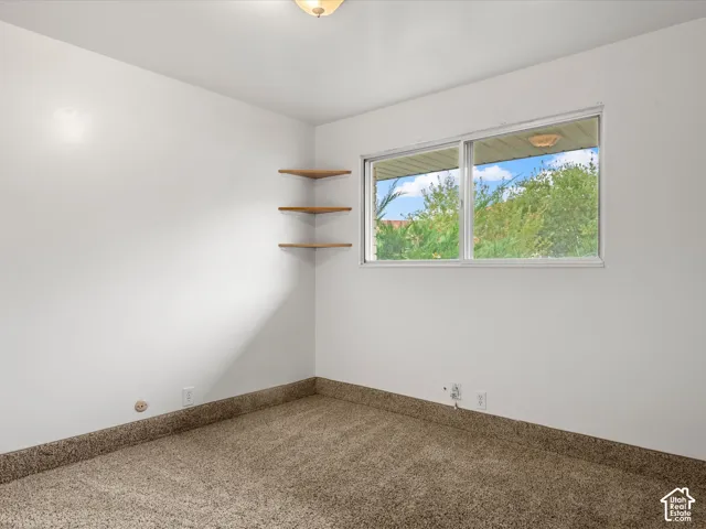 Room interior featuring carpeted flooring, a horizontal sliding window, three mounted corner shelves, and a ceiling-mounted light fixture