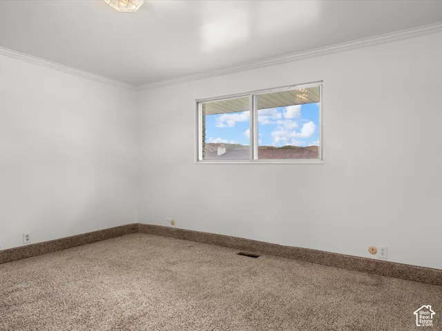 Neutral wall color, wall-to-wall carpeting, crown molding, and large window with natural lighting