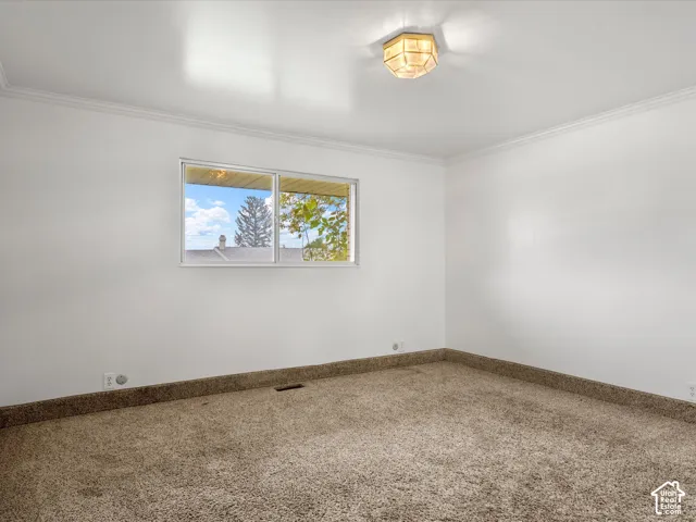 Neutral interior room featuring neutral-tone carpeting, a geometric metal-frame ceiling light fixture, and a horizontal window with outdoor greenery