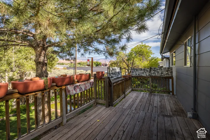 Expansive composite deck with dark wood-finish flooring and custom metal railing, overlooking mature landscaping and open grounds