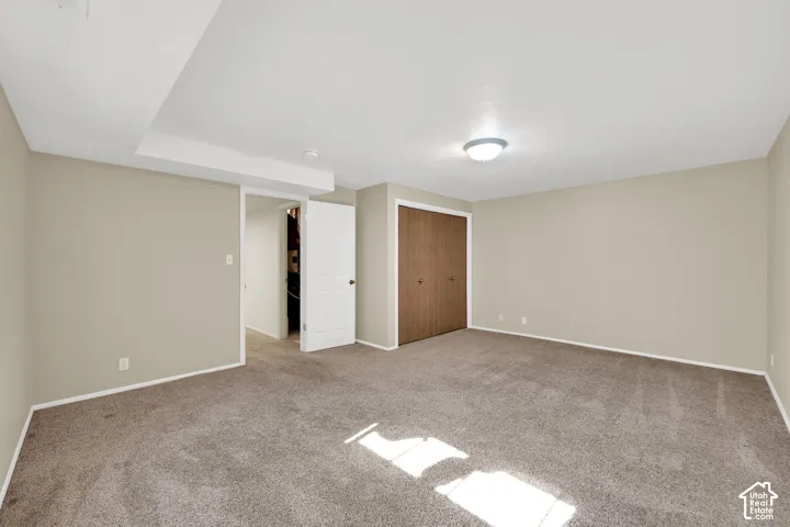 Neutral wall paint, carpet flooring, a flush-mount ceiling light, and wood-finish closet doors