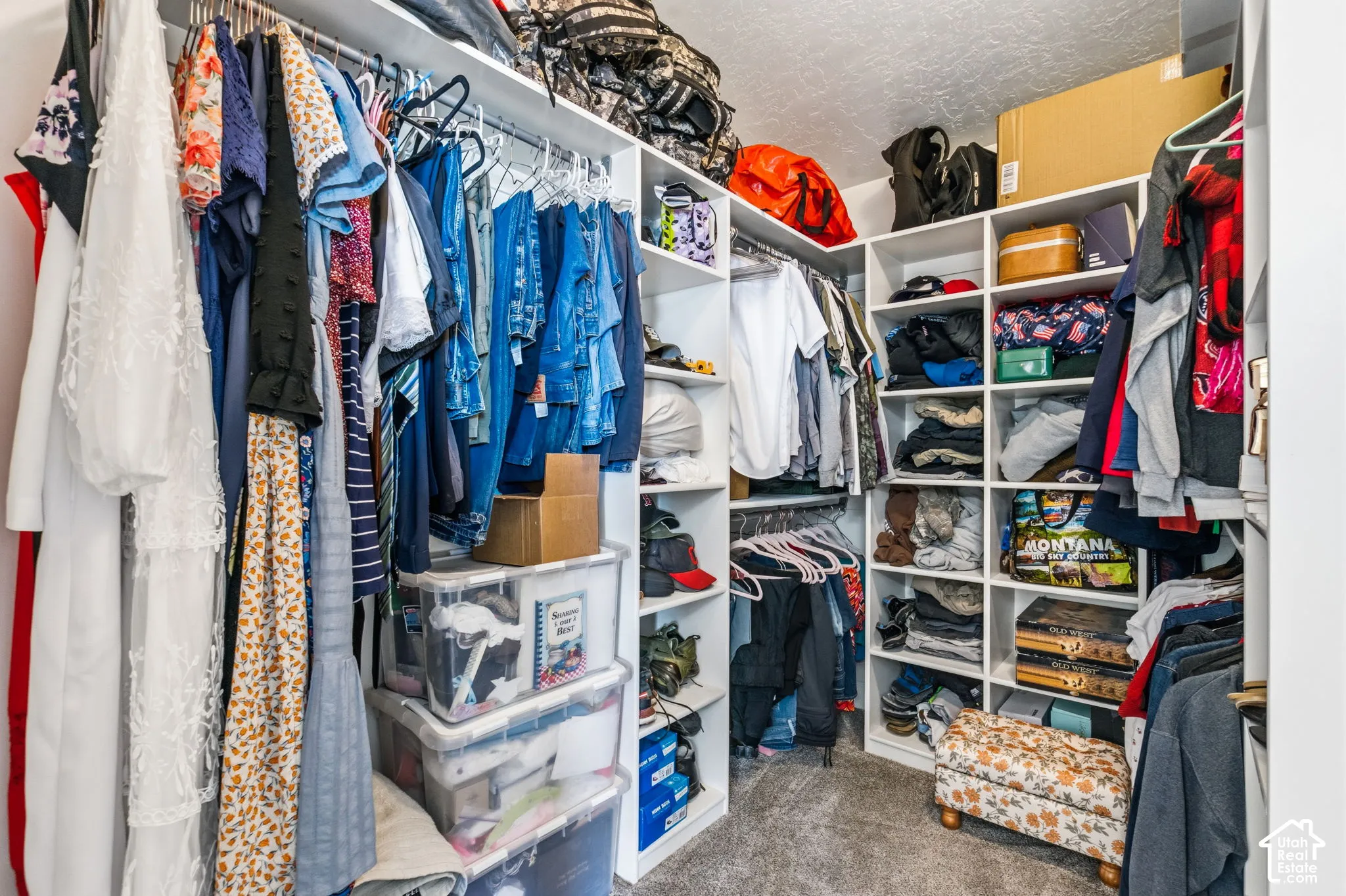 Walk-in closet featuring built-in white shelving, multiple hanging rods, and carpet flooring