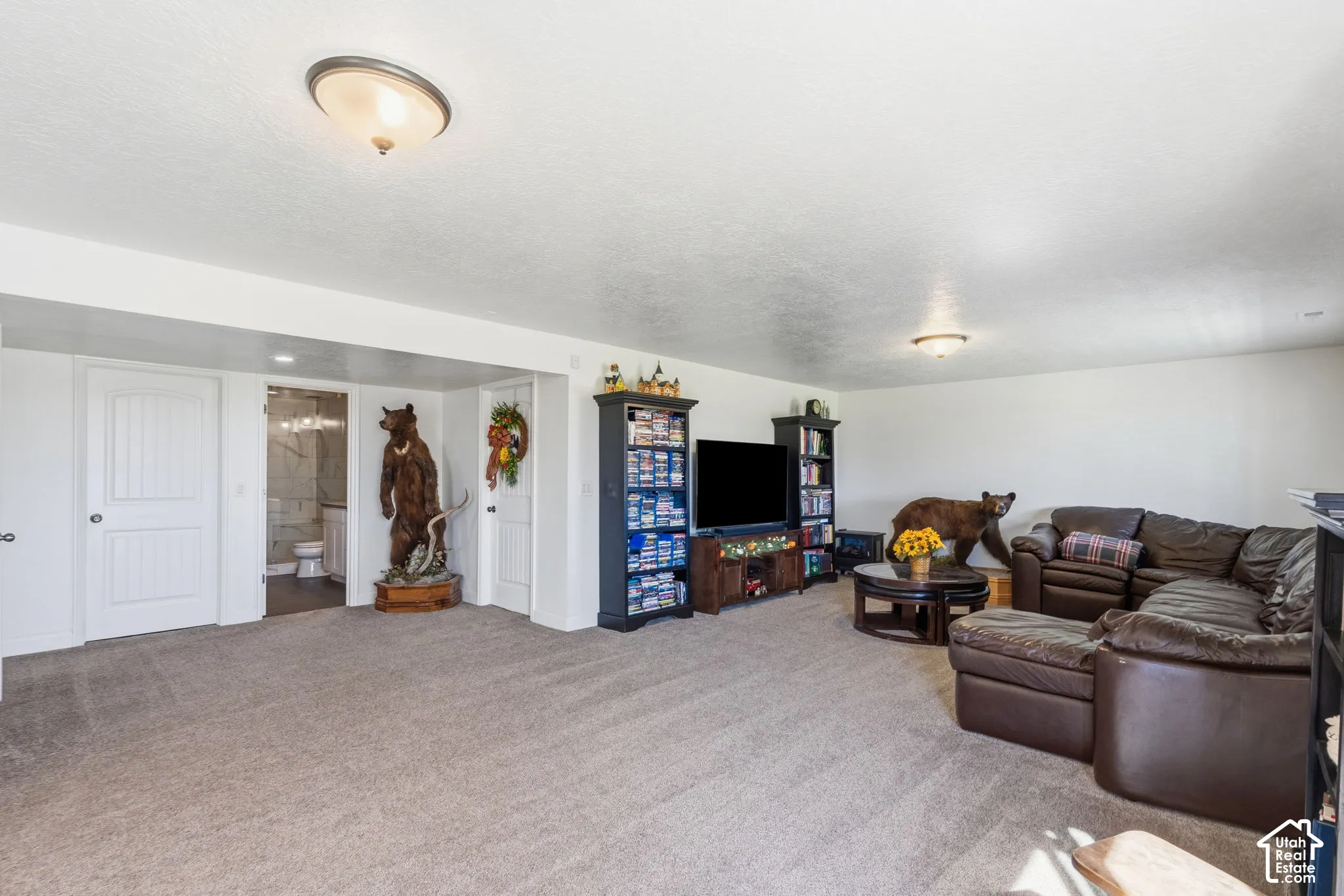 Recessed lighting, light-toned carpeting, and a white interior door