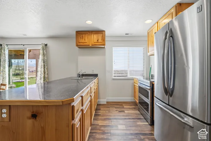 Kitchen featuring wood-finish flooring, stainless steel appliances, wood cabinetry, a built-in kitchen island with an integrated sink, and recessed lighting