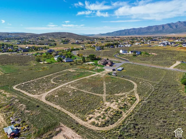 Expansive rural acreage featuring gently curved driveway access, established landscape plantings, and multiple outbuildings situated on open grounds