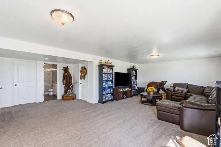 Recessed lighting, light-toned carpeting, and a white interior door