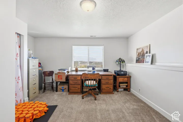 Neutral wall paint, carpeted flooring, and a single window with blinds