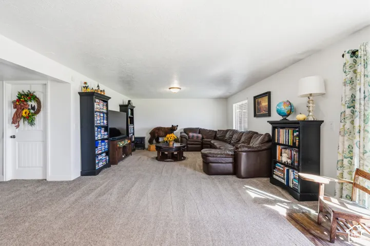 Recessed ceiling lighting, textured ceiling, white interior doors, window with blinds, and neutral carpeting